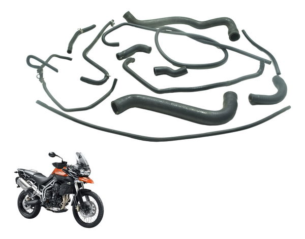 Kit Mangueiras Triumph Tiger 800 13-14 Original
