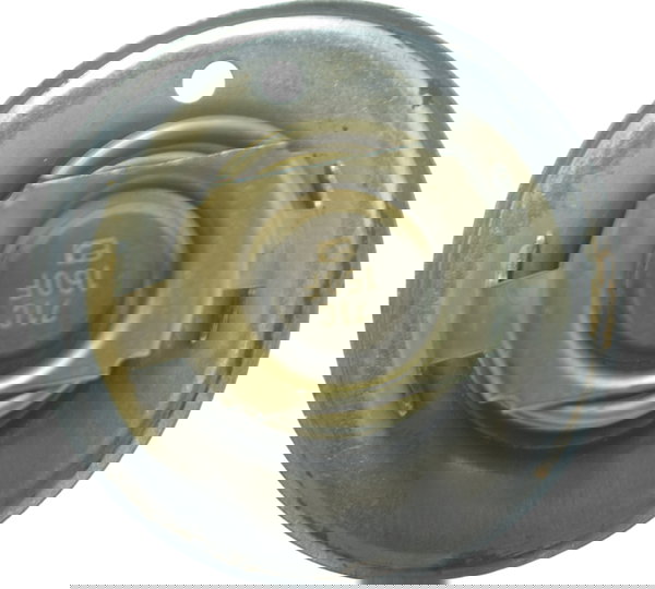 Válvula Termostática Triumph Tiger 800 13-14 Original