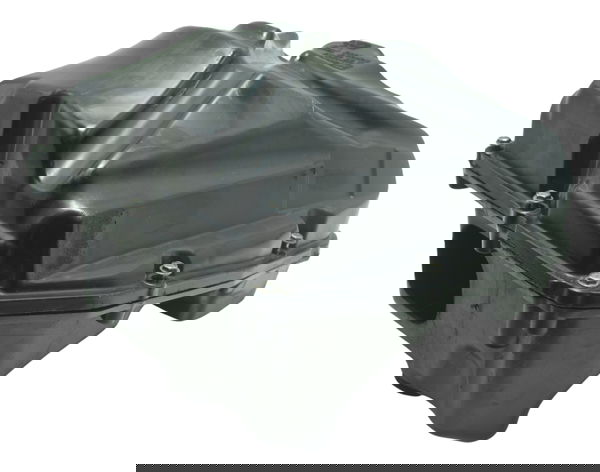 Caixa Filtro Ar C/ Detalhes Triumph Tiger 800 13-14 Original