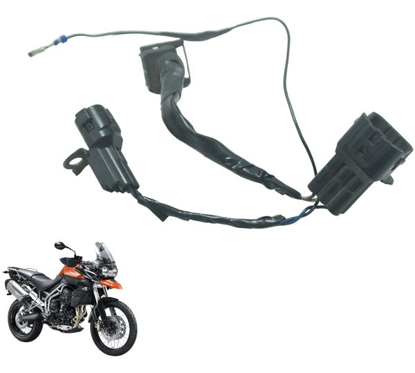 Chicote Motor Triumph Tiger 800 13-14 Original