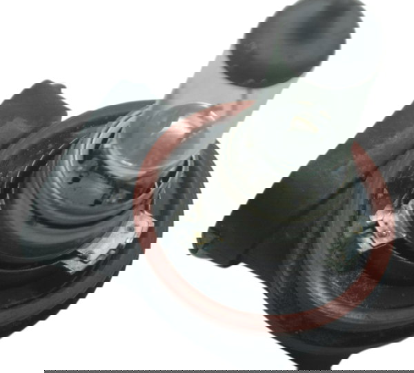 Soquete Farol Triumph Tiger 800 13-14 Original