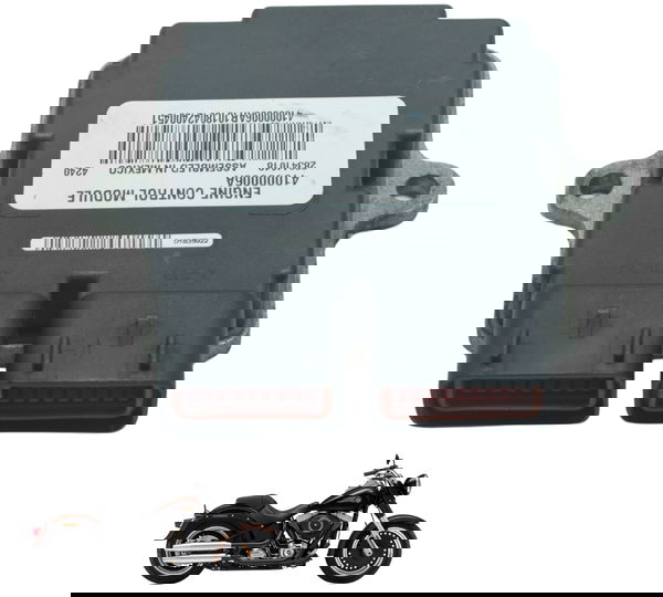 Modulo Ecm Harley Softail Fat Boy Flstf 11-15 Original