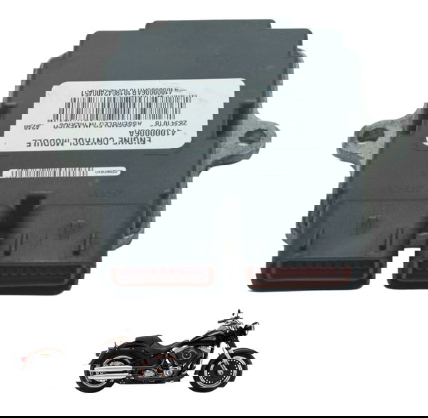 Modulo Ecm Harley Softail Fat Boy Flstf 11-15 Original