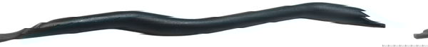 Suporte Triumph Tiger 800 13-14 Original