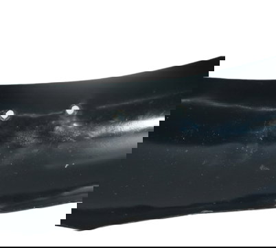 Paralama Dianteiro C/ Detalhes Harley Xl 1200 X Forty Eight