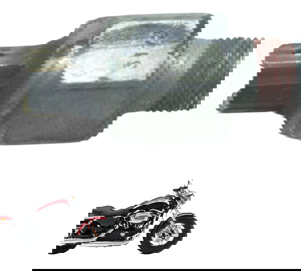 Interruptor Freio Traseiro Harley Xl 1200 2013 Original