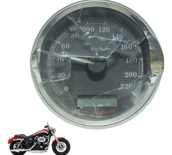 Painel C/ Avaria 67416-08 Harley Xl 1200 2013 Original