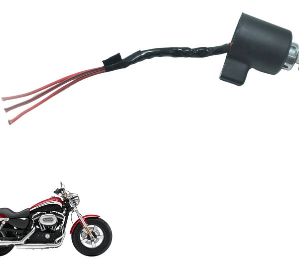 Chave Ignição Harley Xl 1200 2013 Original