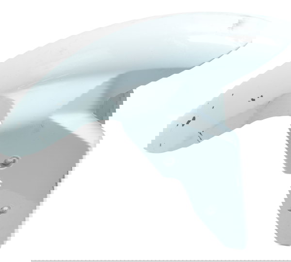 Paralama Dianteiro C/ Detalhes Bmw S 1000 Rr 15-19 Original