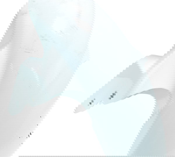 Paralama Dianteiro C/ Detalhes Bmw S 1000 Rr 15-19 Original