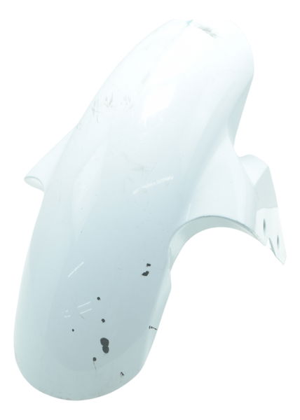 Paralama Dianteiro C/ Detalhes Bmw S 1000 Rr 15-19 Original