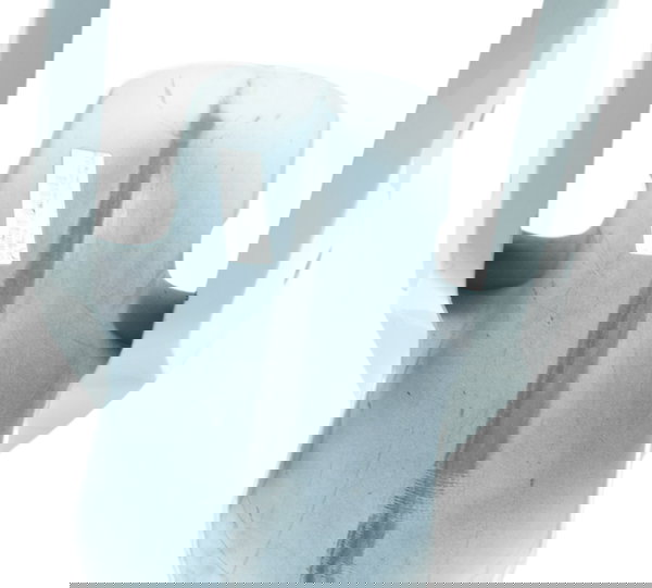 Paralama Dianteiro C/ Detalhes Bmw S 1000 Rr 15-19 Original