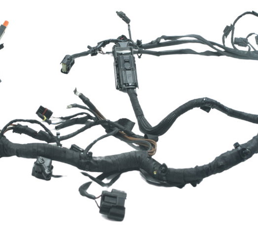 Chicote Principal Bmw S 1000 Rr 15-19 Original