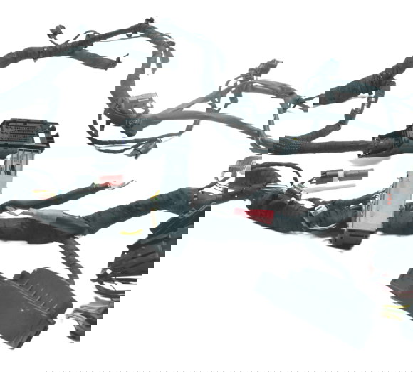 Chicote Principal Bmw S 1000 Rr 15-19 Original