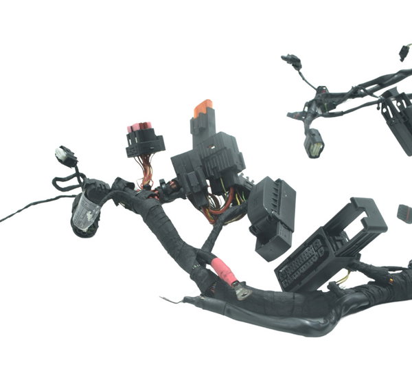 Chicote Principal Bmw S 1000 Rr 15-19 Original