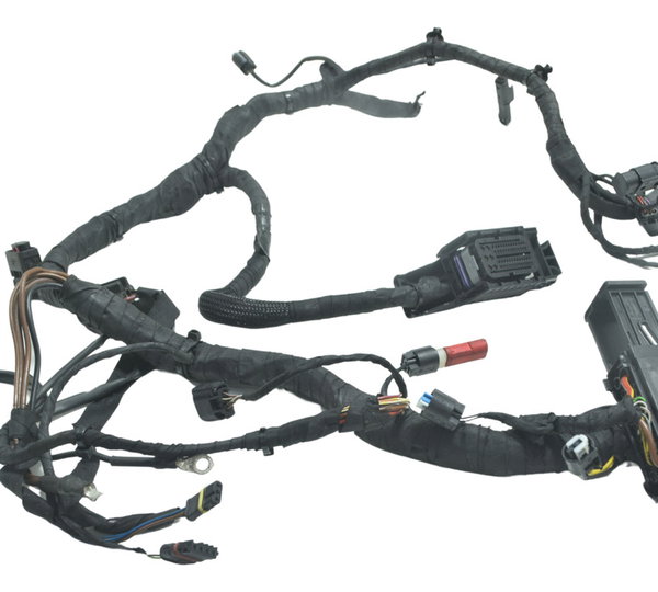 Chicote Principal Bmw S 1000 Rr 15-19 Original