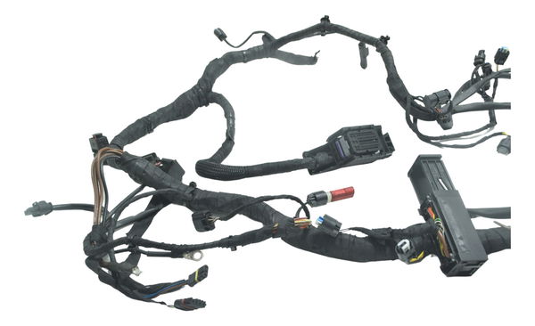 Chicote Principal Bmw S 1000 Rr 15-19 Original