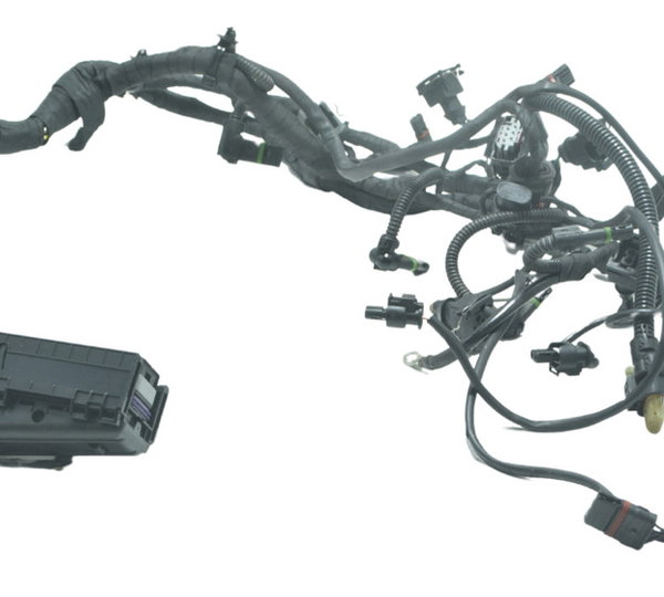 Chicote Injeção Secundário Bmw S 1000 Rr 15-19 Original