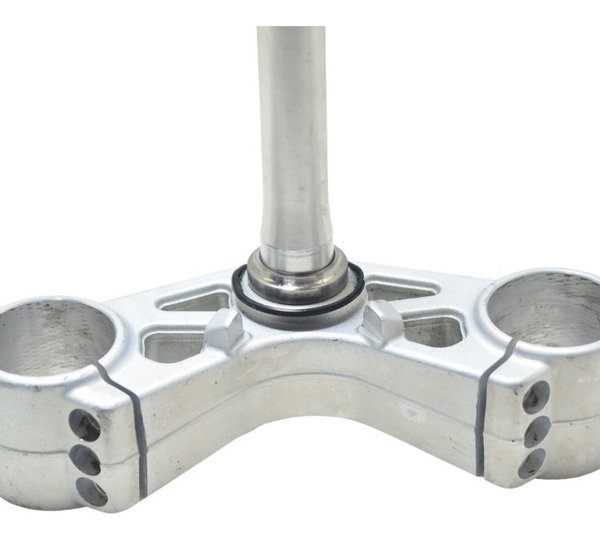 Mesa Inferior Triumph Speed Triple 1050 13-15 Original