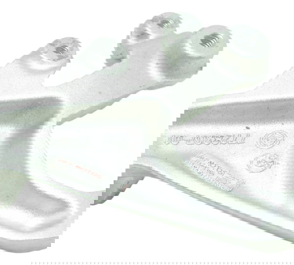 Bacalhau Dianteiro Esquerdo Bmw S 1000 Rr 15-19 Original