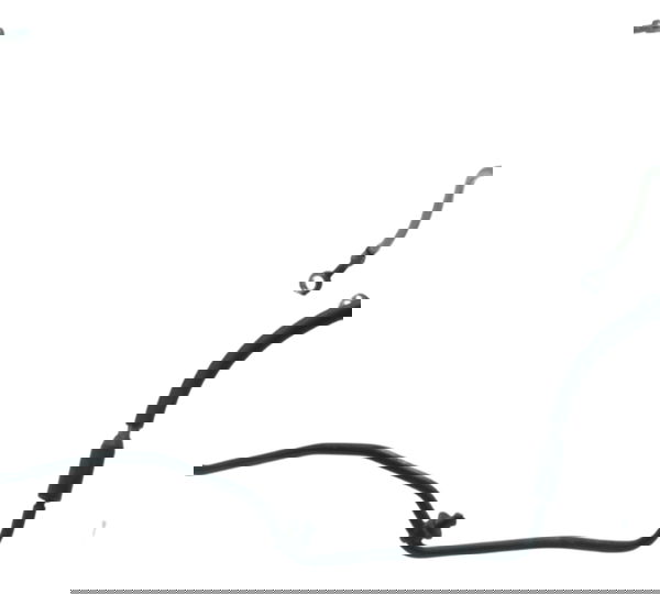 Flexível Freio Dianteiro Bmw S 1000 Rr 15-19 Original