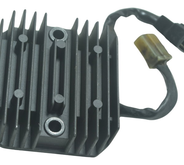 Retificador Carga Honda Vt Shadow 600 C 95-05 Original 12v