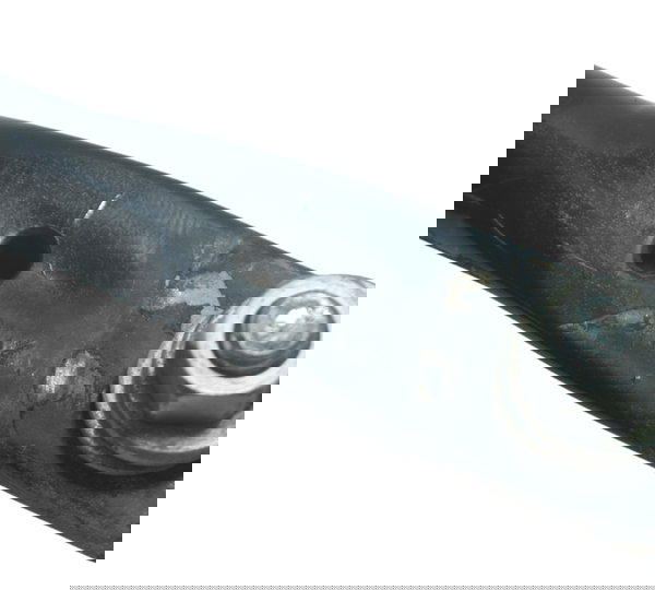 Suporte Espelho Roda Tras Honda Vt Shadow 600 C 95-05 Orig