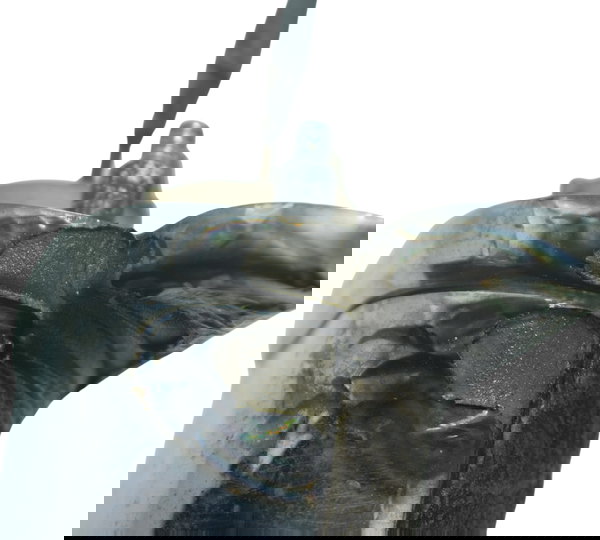 Luz Placa C/ Detalhes Honda Vt Shadow 600 C 95-05 Original