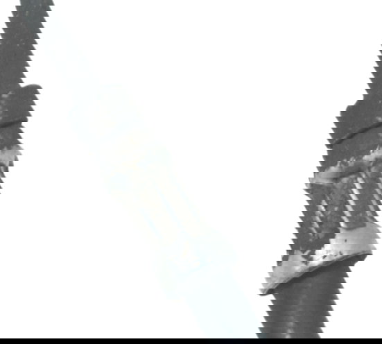 Flexível Freio Traseiro Harley Xl 1200 X Forty Eight Orig