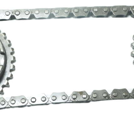 Engrenagem Corrente Bomba Honda Vt Shadow 600 C 95-05 Orig