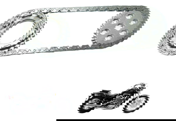Engrenagem Corrente Bomba Honda Vt Shadow 600 C 95-05 Orig