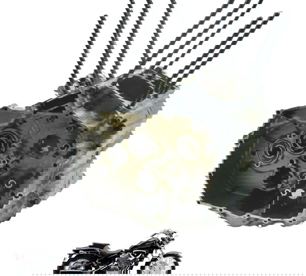 Bloco Carcaça Motor Nfe Baixa Honda Vt Shadow 600 C 95-05