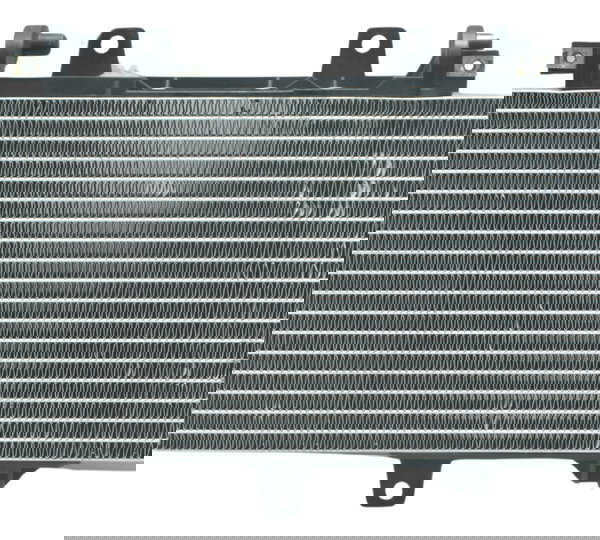 Radiador Bmw F 800 Gs Adv 13-16 Original