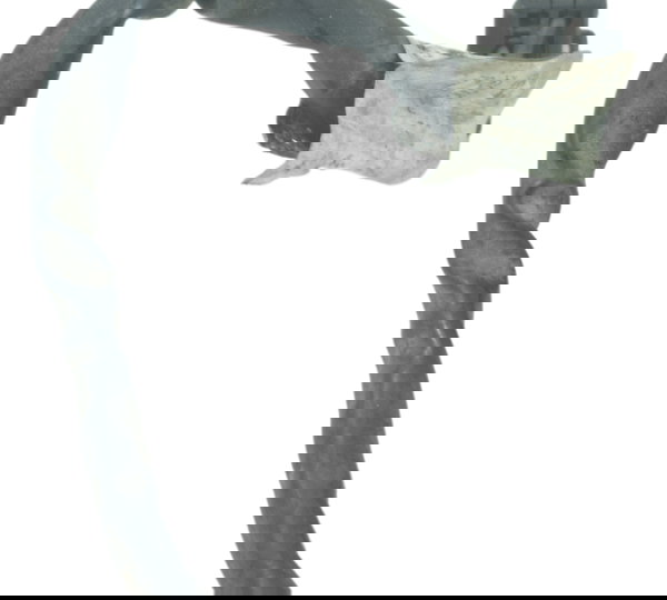 Chicote Lanterna Traseira Harley Dyna Switchback Fld Orig