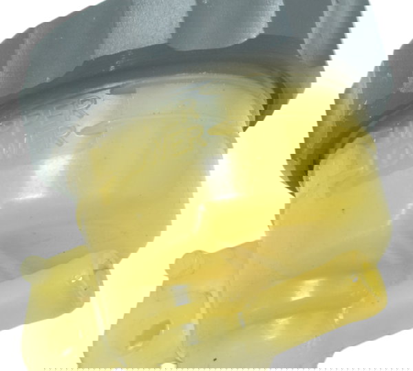 Reservatório Freio Traseiro Suzuki Gsx 750f 99-08 Original