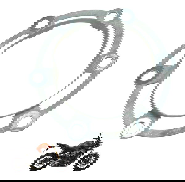 Acabamento Roda Traseira C/avaria Yamaha Mt 09 15-18 Orig