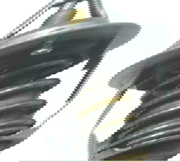 Válvula Termostática Suzuki Gsxs Gsx-s 750 18-23 Original