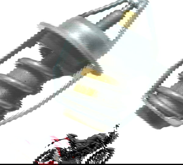 Válvula Termostática Suzuki Gsxs Gsx-s 750 18-23 Original