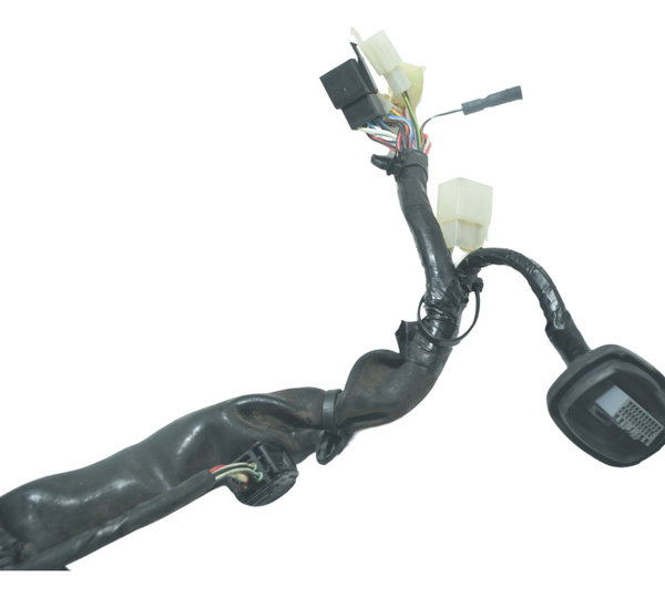 Chicote Principal S/abs Honda Cb 250f Twister 16-22 Original