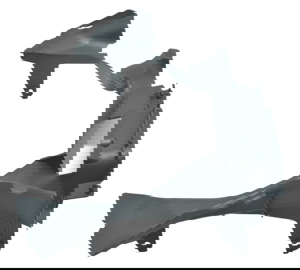 Carenagem Proteção Garfo Bmw R1200 R 1200 Gs 13-15 Original Preto