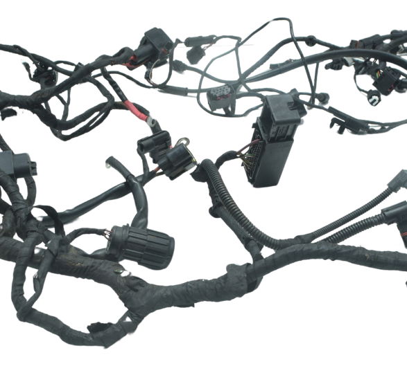 Chicote Principal Bmw R1200 R 1200 Gs 13-15 Original