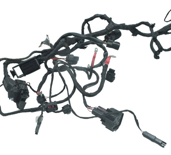 Chicote Principal Bmw R1200 R 1200 Gs 13-15 Original