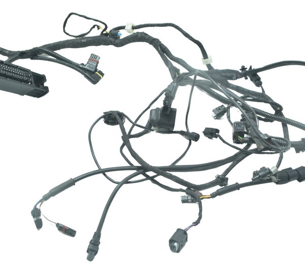 Chicote Principal Bmw R1200 R 1200 Gs 13-15 Original