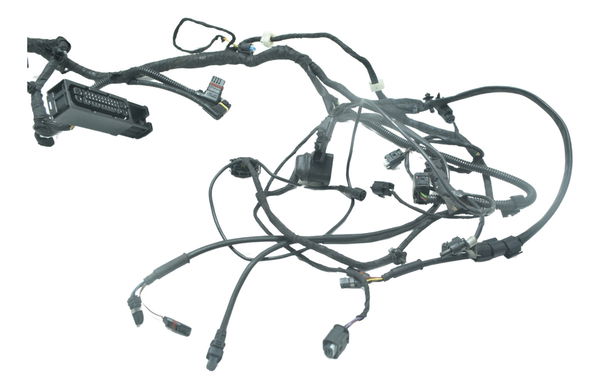 Chicote Principal Bmw R1200 R 1200 Gs 13-15 Original