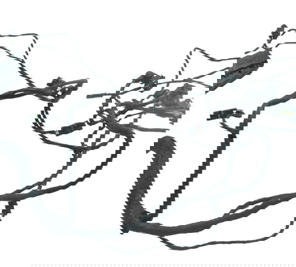 Chicote Injeção Bmw R1200 R 1200 Gs 13-15 Original