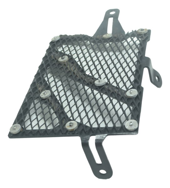 Grade Radiador Esquerdo Bmw R1200 R 1200 Gs 13-15 Original