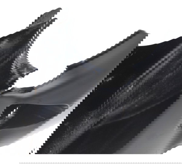 Paralama Dianteiro C/ Avaria Honda Cb 250f Twister 16-22