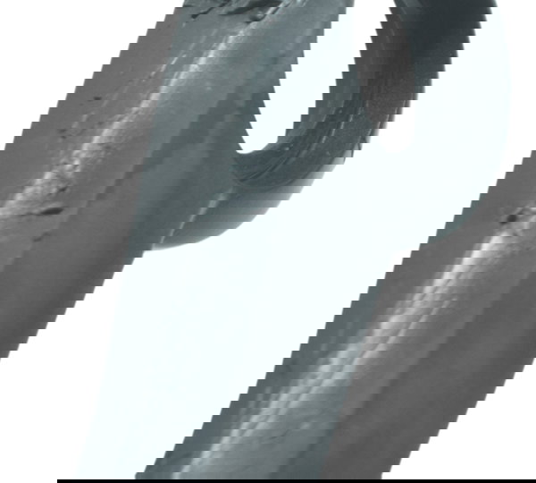 Protetor Punho Direito Bmw R1200 R 1200 Gs 13-15 Original