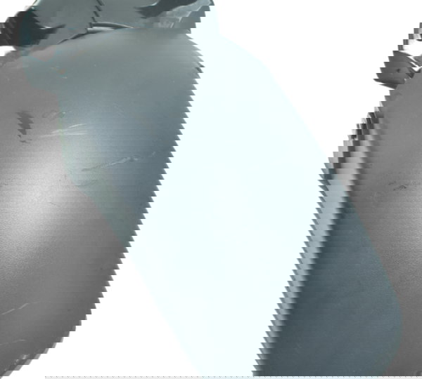 Paralama Dianteiro B C/ Avaria Honda Cb 250f Twister 16-22