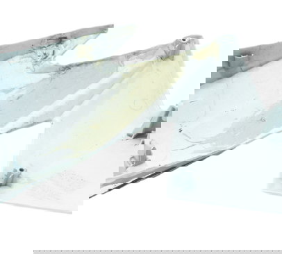 Aba Tanque Esquerda C/ Avaria Honda Cb 250f Twister 16-22 Branco